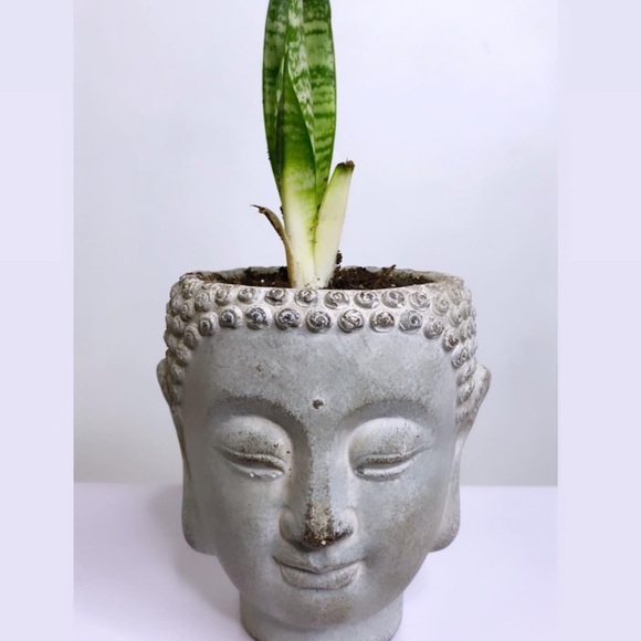 Meet your Posher, Hailey - Picture 1 of 1